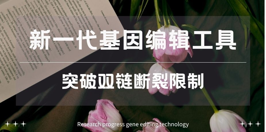 从 CRISPR 到转座子编辑：基因编辑工具迭代与技术突破
