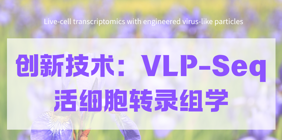 告别“解剖”式研究：让科学家能“直播”细胞的基因活动