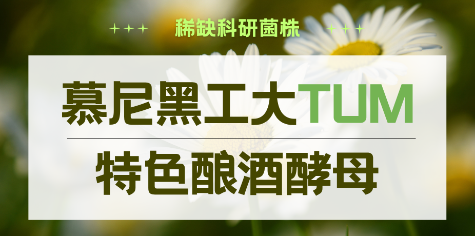 稀缺科研菌株 慕尼黑工大TUM 特色酿酒酵母