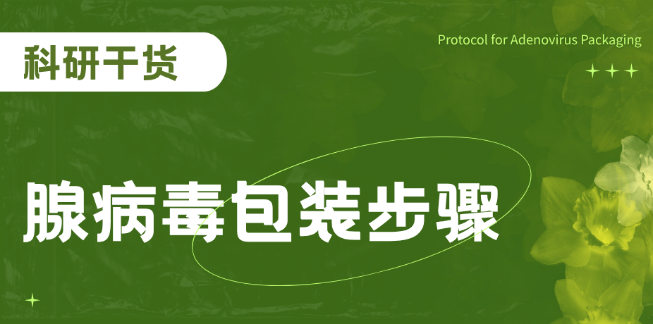 腺病毒包装步骤