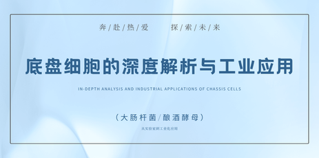 底盘细胞的深度解析与工业应用