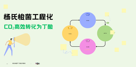 杨氏梭菌工程化：CO₂高效转化为丁酸