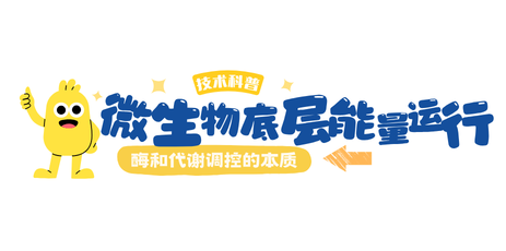 酶学基础与代谢调控：微生物能量运行机制解析