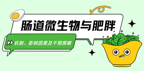 肠道微生物与肥胖：机制、影响因素及干预策略