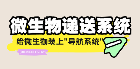 给微生物装上"导航系统"：靶向癌症治疗的新突破