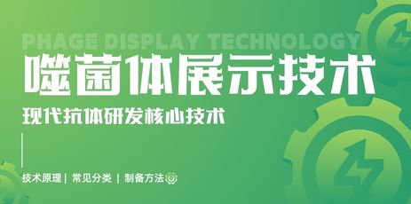 噬菌体展示技术原理解析