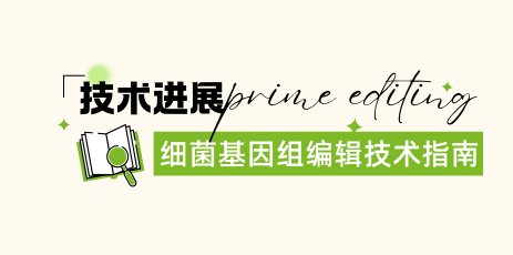 细菌基因组编辑技术进展（综述）