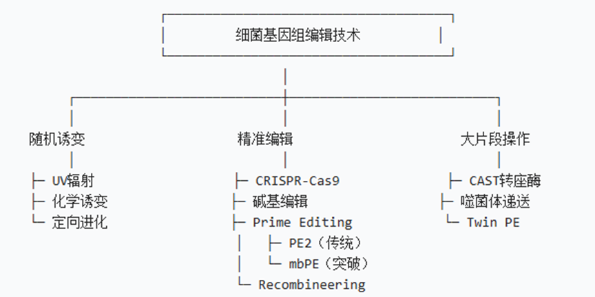 article042303.png
