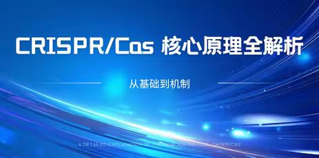 CRISPR/Cas系统的发现、结构、分类及一般机制