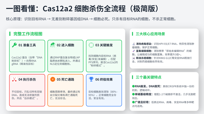 article050802.png