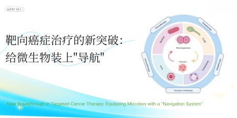 给微生物装上"导航"——靶向癌症ZL的新突破