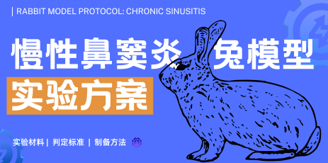 慢性鼻窦炎兔模型试验方案