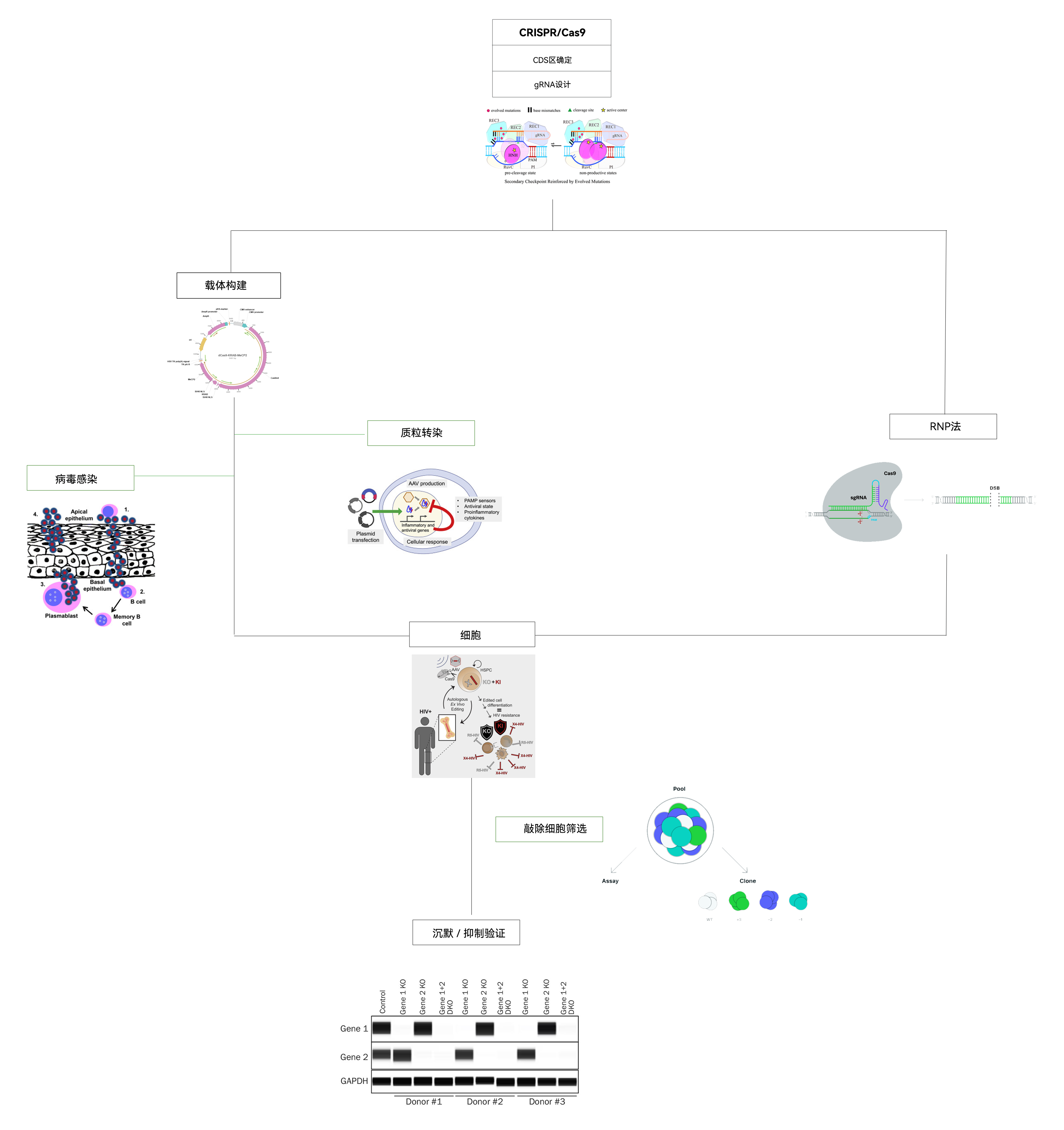 服务流程及方案适配