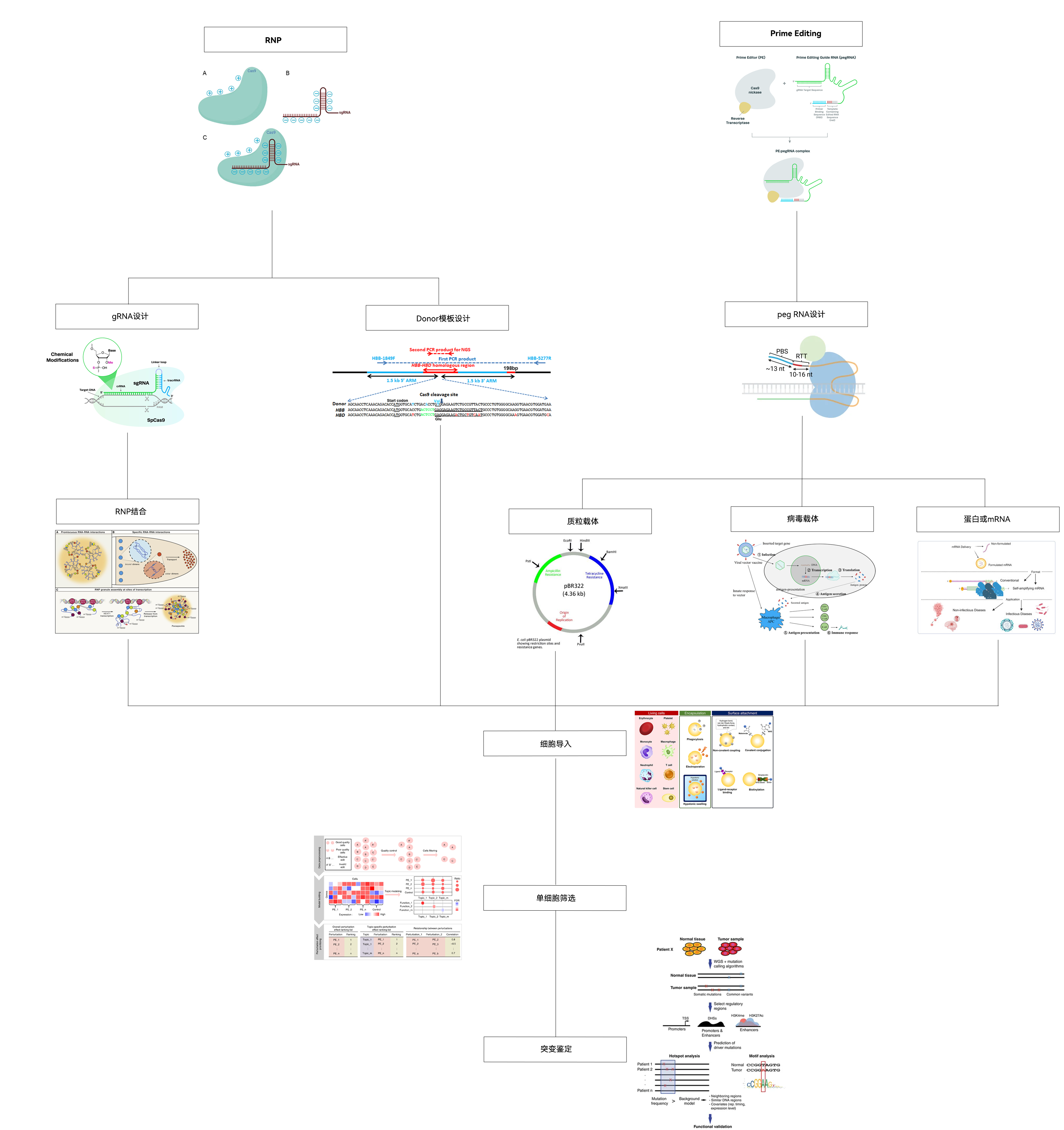 服务流程及方案适配