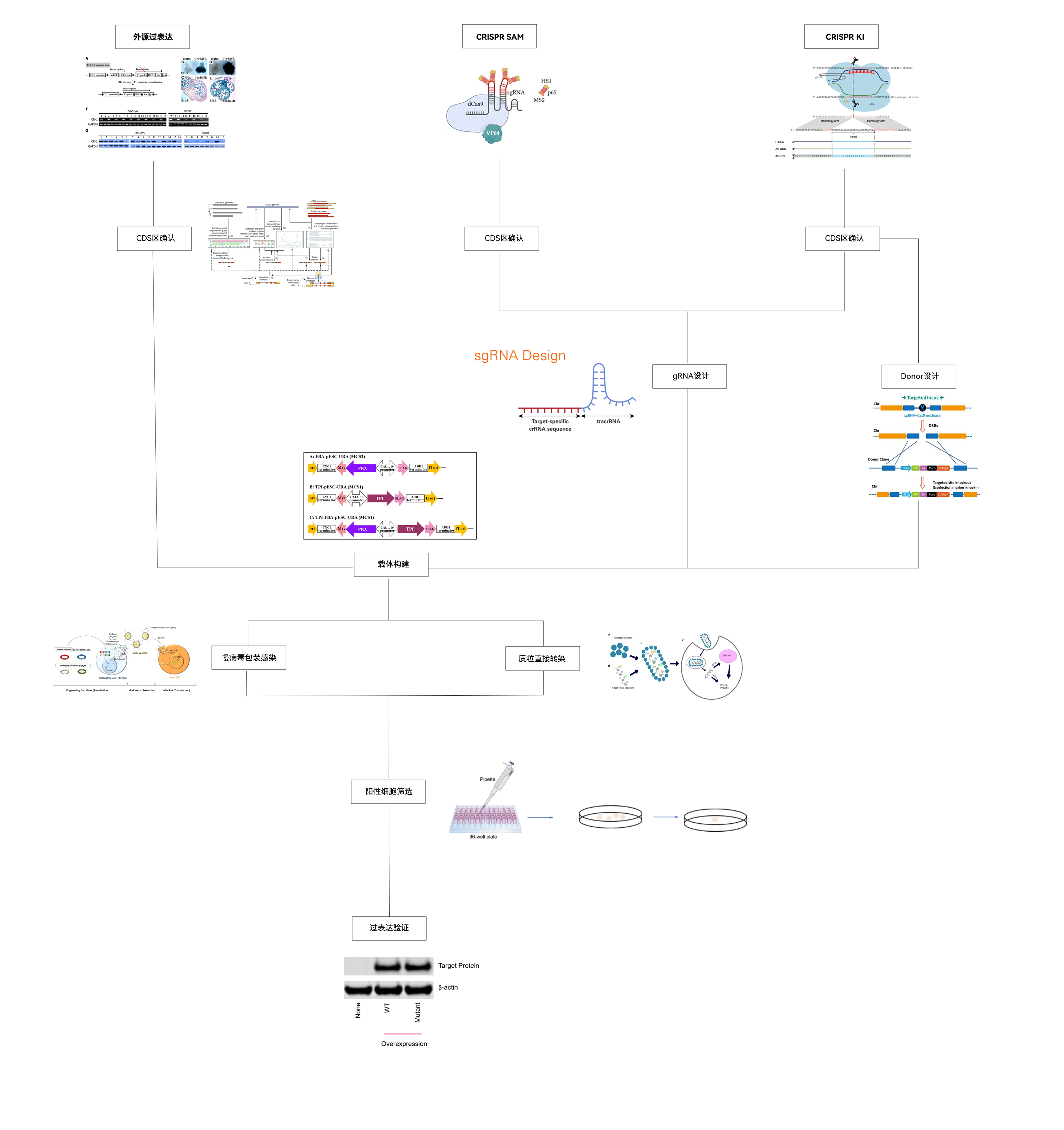 服务流程及方案适配