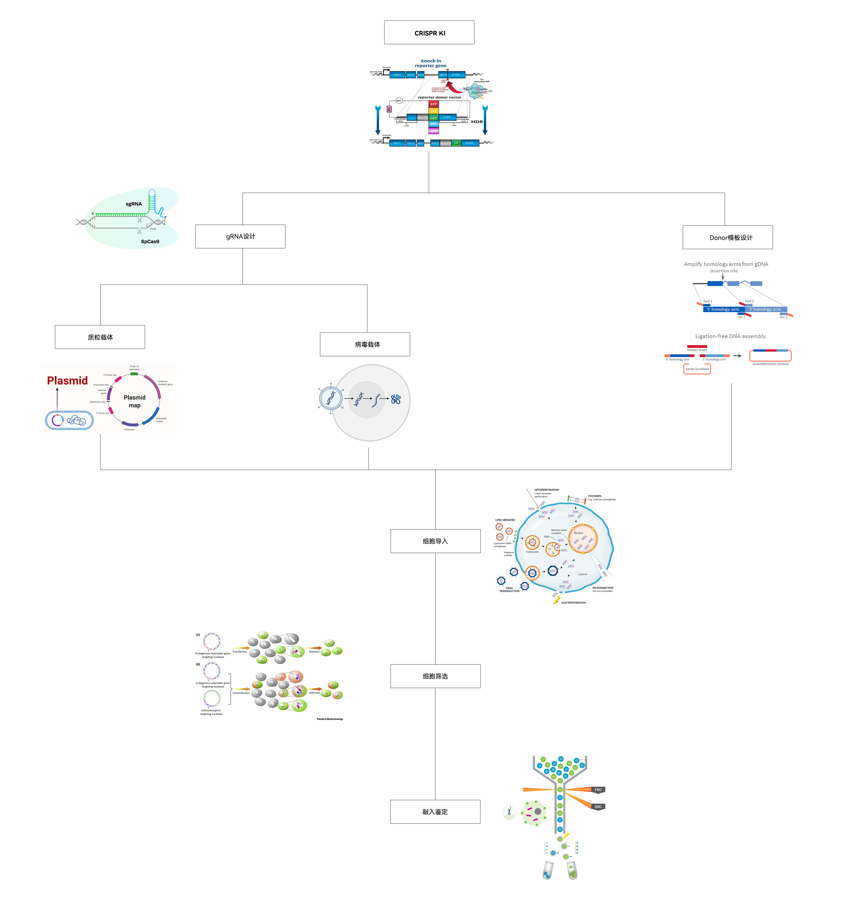 服务流程及方案适配