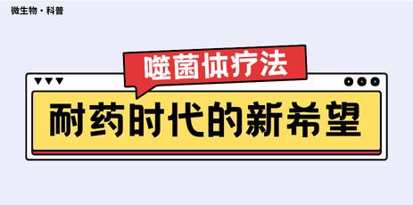 耐药时代的新希望：一文读懂噬菌体疗法